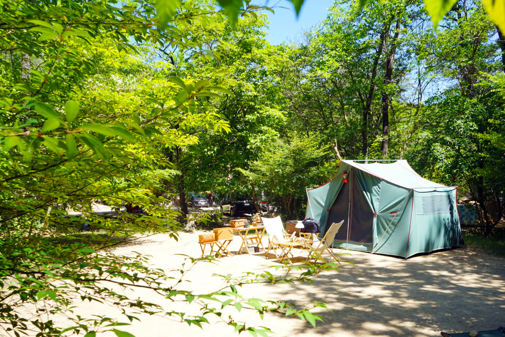 自然の森キャンプ場 新緑 自然の森ファミリーオートキャンプ場